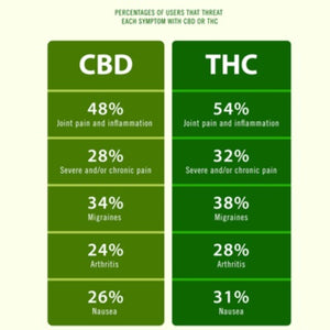 CBD & THC: Differences, Benefits & Uses