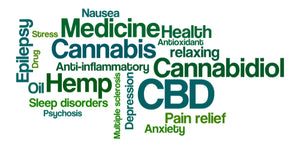 What Are The Benefits of CBD?