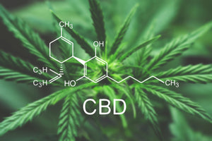 Will CBD Oil Show Up On a Work-Related Drug Test?