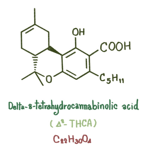 How Can Delta-8 THC* Gummies Help With Aches, Pains, & Anxiety?