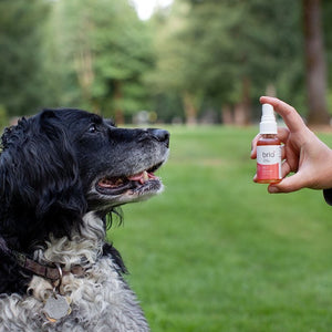 Brio Pet Salmon Oil Spray - CBD Pros USA